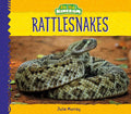 Rattlesnakes - Library Binding