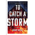To Catch a Storm - Paperback