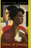 The Color of Family - Paperback