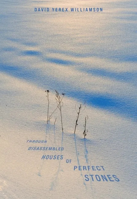 Through Disassembled Houses of Perfect Stones - Paperback