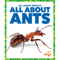 All about Ants - Paperback