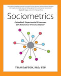 Sociometrics: Embodied, Experiential Processes for Relational Trauma Repair - Paperback