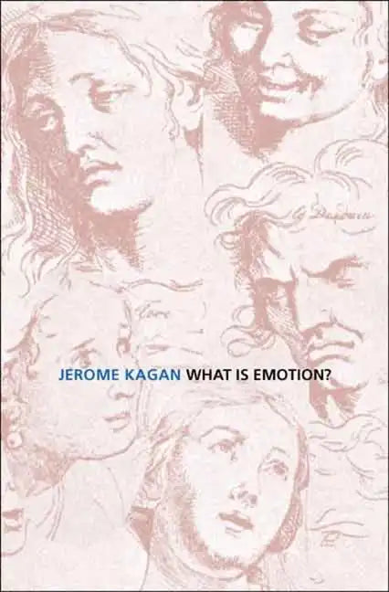 What Is Emotion?: History, Measures, and Meanings - Paperback
