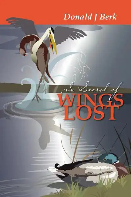 In Search of Wings Lost - Paperback