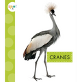 Cranes - Library Binding