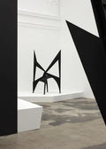 Calder: Nonspace - Hardcover