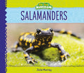Salamanders - Library Binding
