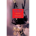 The Pure and the Impure - Paperback