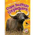 Cape Buffalo and Oxpeckers - Library Binding