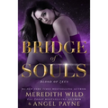 Bridge of Souls: Blood of Zeus: Book Four - Paperback