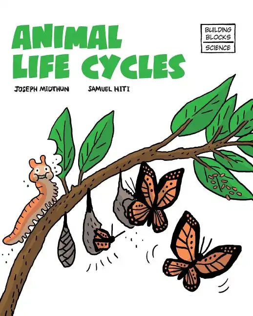 Animal Life Cycles - Paperback