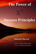 The Power of Success Principles - Paperback