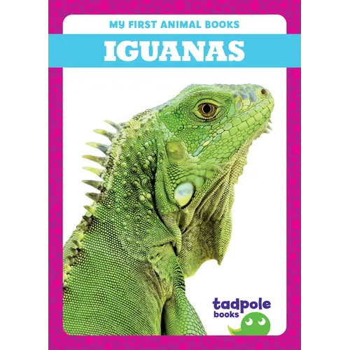 Iguanas - Paperback