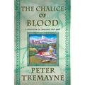 The -Chalice of Blood: A Mystery of Ancient Ireland - Paperback