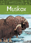 Animals Illustrated: Muskox - Hardcover