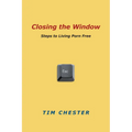 Closing the Window: Steps to Living Porn Free - Paperback