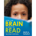 How the Brain Learns to Read - Paperback