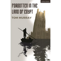 Forgotten in the Land of Egypt - Paperback