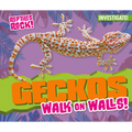 Geckos Walk on Walls! - Library Binding