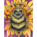 The Star Father's Gift: A Story from the Bees - Paperback