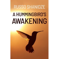 A Hummingbird's Awakening - Paperback