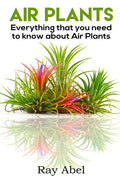 Air Plants: All you need to know about Air Plants in a single book! - Paperback