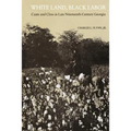 White Land, Black Labor: Caste and Class in Late Nineteenth-Century Georgia - Paperback
