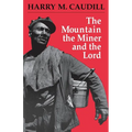 The Mountain, the Miner, and the Lord and Other Tales from a Country Law Office - Paperback