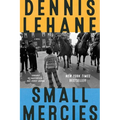 Small Mercies: A Detective Mystery - Paperback