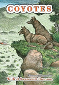 Coyotes - Paperback