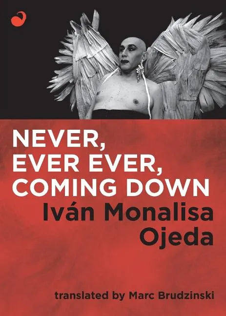 Never, Ever Ever, Coming Down - Paperback
