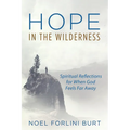 Hope in the Wilderness - Paperback
