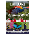 Explore the Animal World of Costa Rica - Paperback