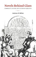Novels Behind Glass: Commodity Culture and Victorian Narrative - Paperback