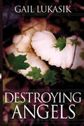 Destroying Angels: A Leigh Girard Mystery - Paperback