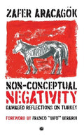 Non-Conceptual Negativity: Damaged Reflections on Turkey - Paperback