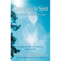 Connecting To Spirit If you build it, they will come - Paperback