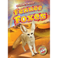 Fennec Foxes - Paperback