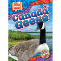 Canada Geese - Library Binding