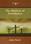 The Mystery of Providence - Hardcover