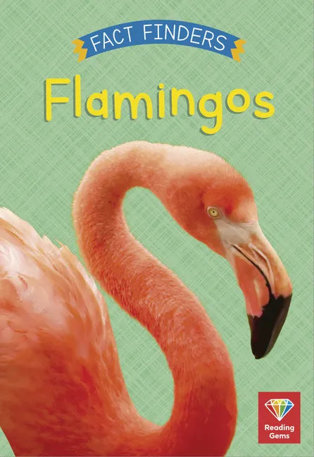 Flamingos - Paperback