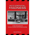 Accidental Madness: At The Intersection of Extreme Creativity and Entrepreneurship - Paperback