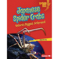 Japanese Spider Crabs: Nature's Biggest Arthropod - Library Binding
