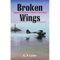 Broken Wings: Tragedy & Disaster in Alaska Civil Aviation - Paperback