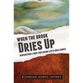 When the Brook Dries Up: Inspiration & Hope for Facing Life's Challenges - Paperback