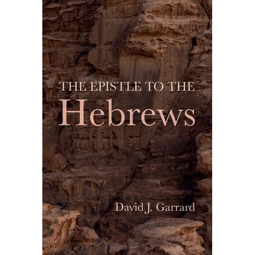 The Epistle to the Hebrews - Paperback