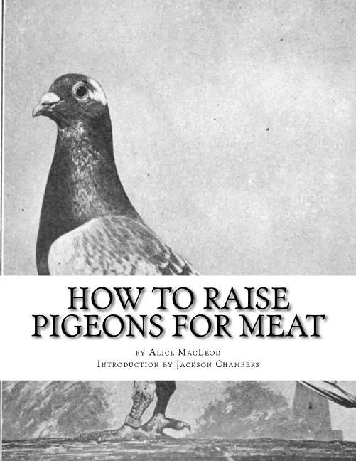 How To Raise Pigeons For Meat: Raising Pigeons for Squabs Book 10 - Paperback