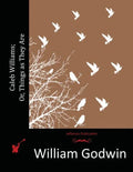 Caleb Williams; Or, Things as They Are - Paperback