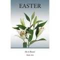 Easter Bulletin: He Is Risen (Package of 100): Mark 16:6 (Kjv) - Paperback