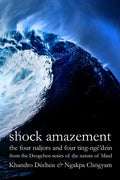 Shock Amazement - Paperback